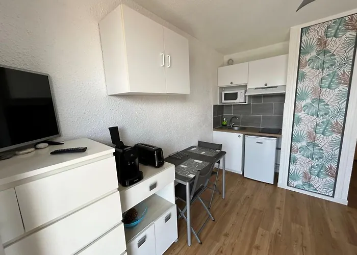 2 Pers A 100m De La - Fr-1-837-68 * アルジェレス・シュル・メール